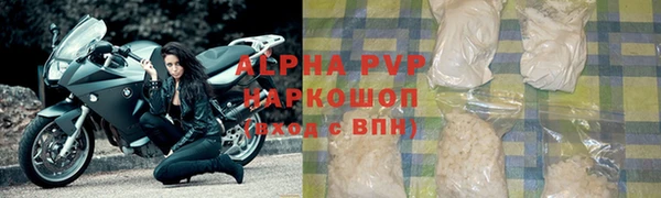 хмурый Аркадак