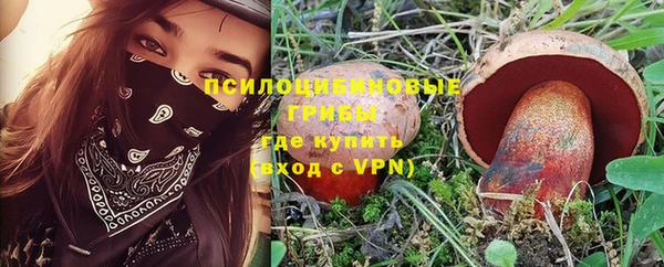 хмурый Аркадак