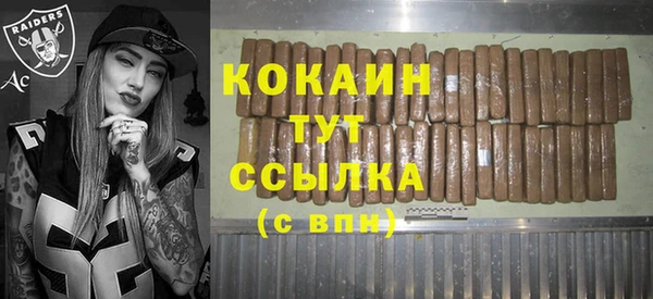 мескалин Арсеньев