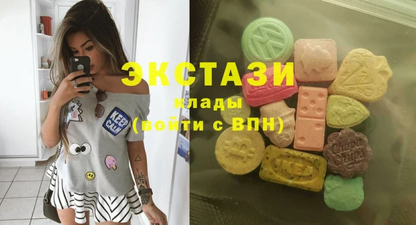 хмурый Аркадак