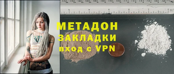 хмурый Аркадак
