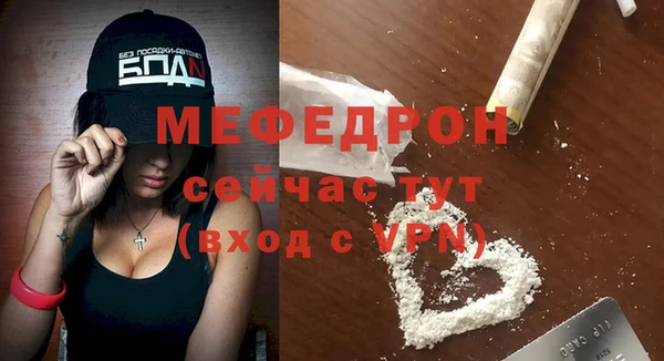 хмурый Аркадак