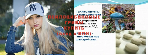 хмурый Аркадак