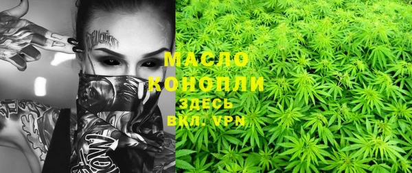 хмурый Аркадак