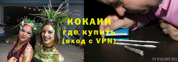 хмурый Аркадак