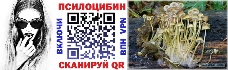 Псилоцибиновые грибы Psilocybine cubensis  hydra онион  Певек  наркота 